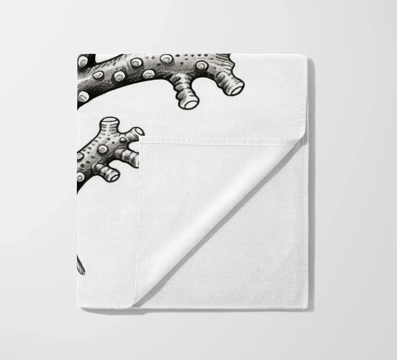 Barnacles telo mare da knowledge