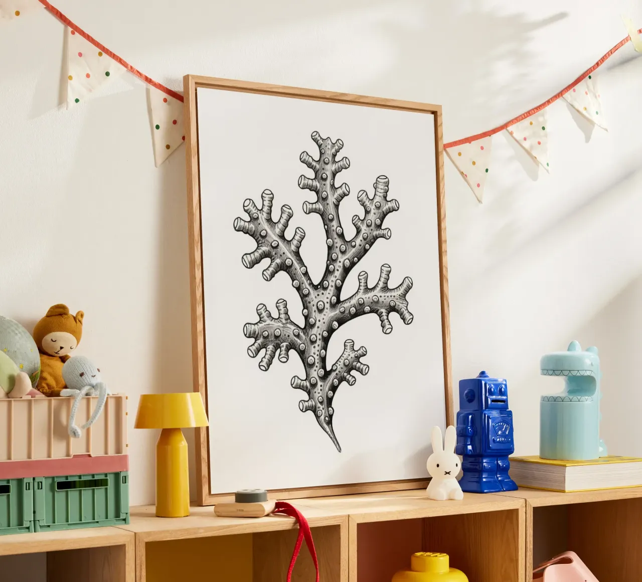 Barnacles plexiglass da knowledge