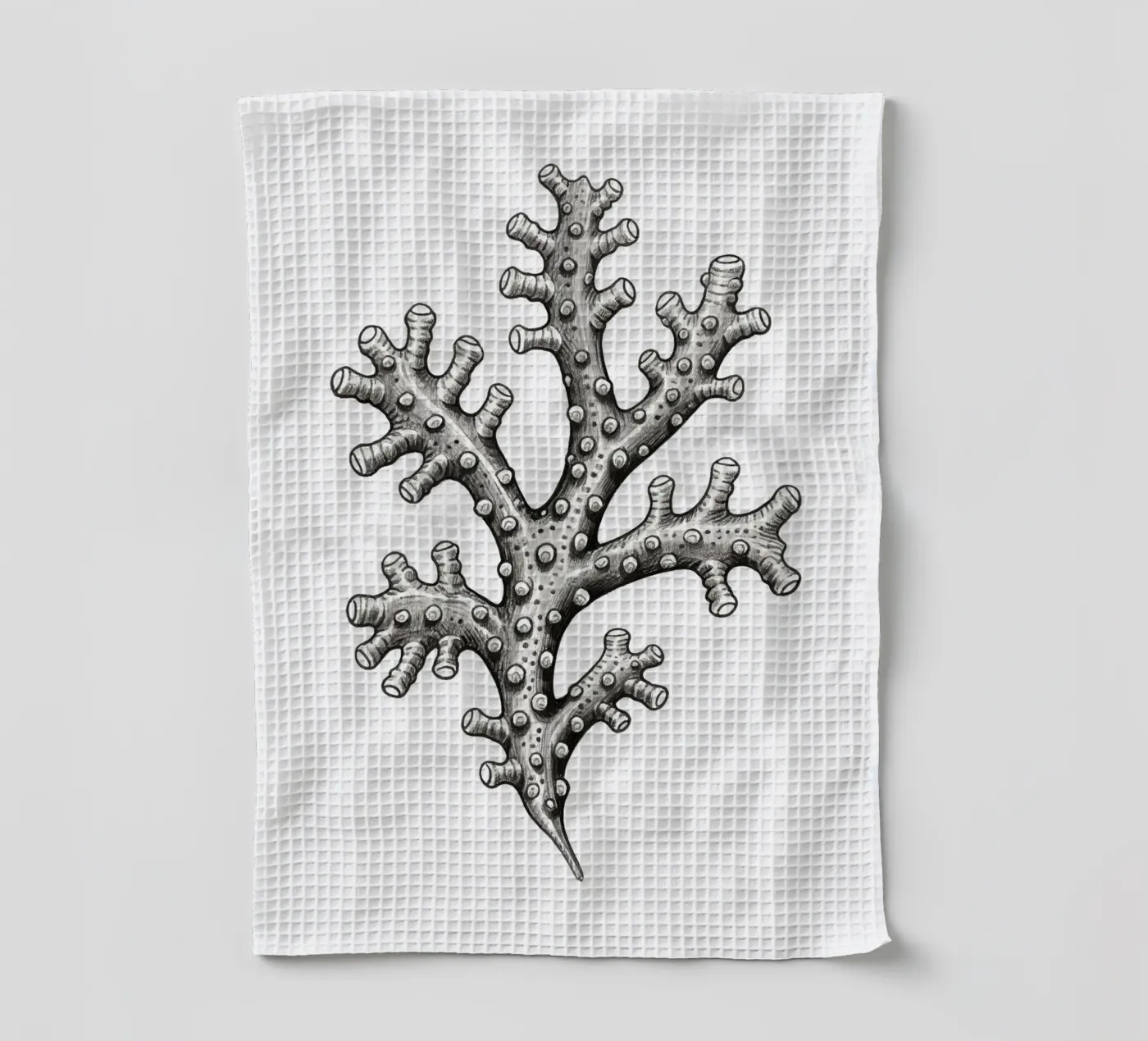 Seepocken Geschirrtuch von knowledge