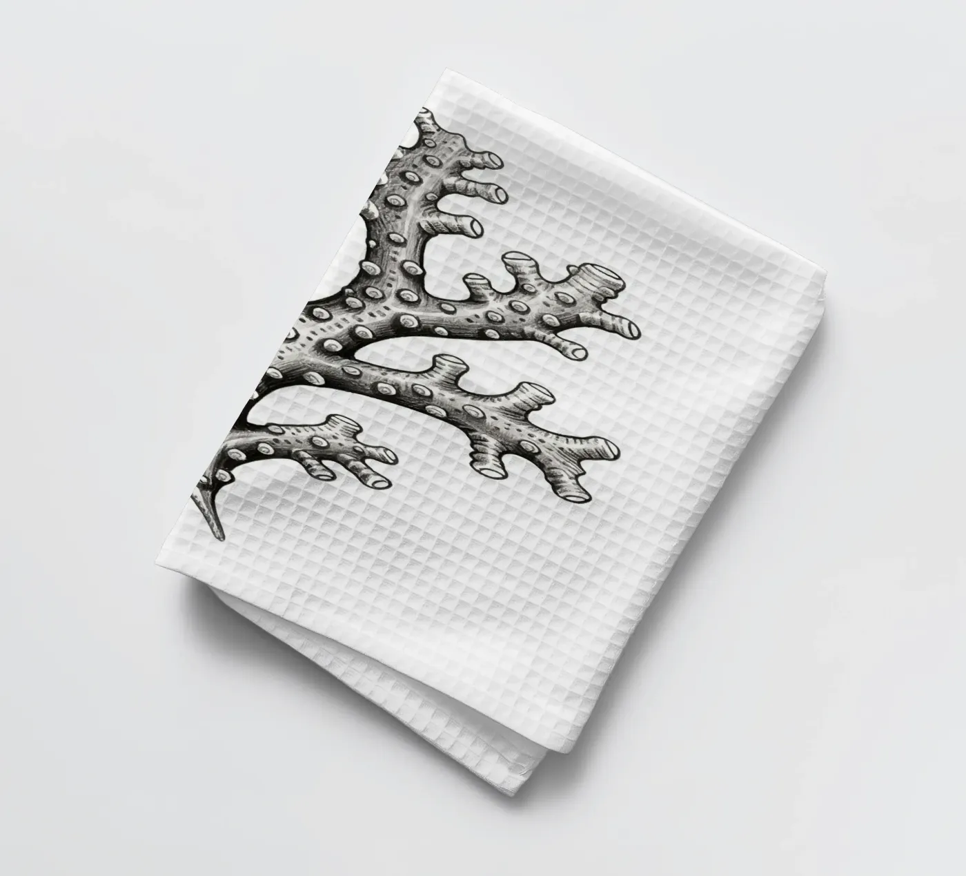 Seepocken Geschirrtuch von knowledge