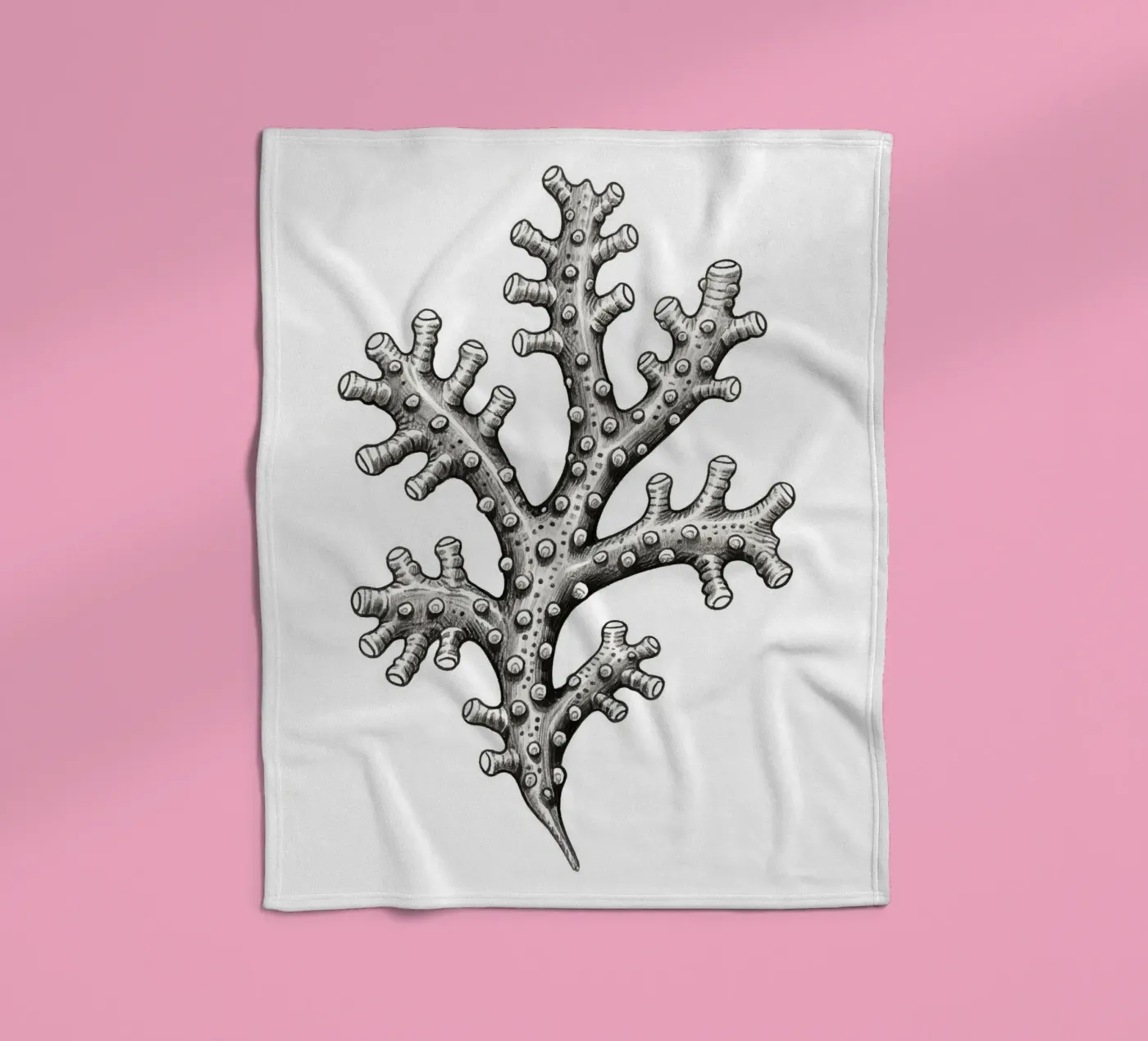 Balanes plaid polaire de knowledge