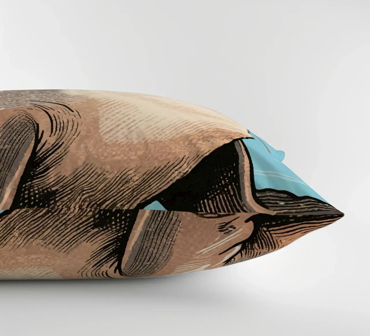Sigillo cuscino da knowledge