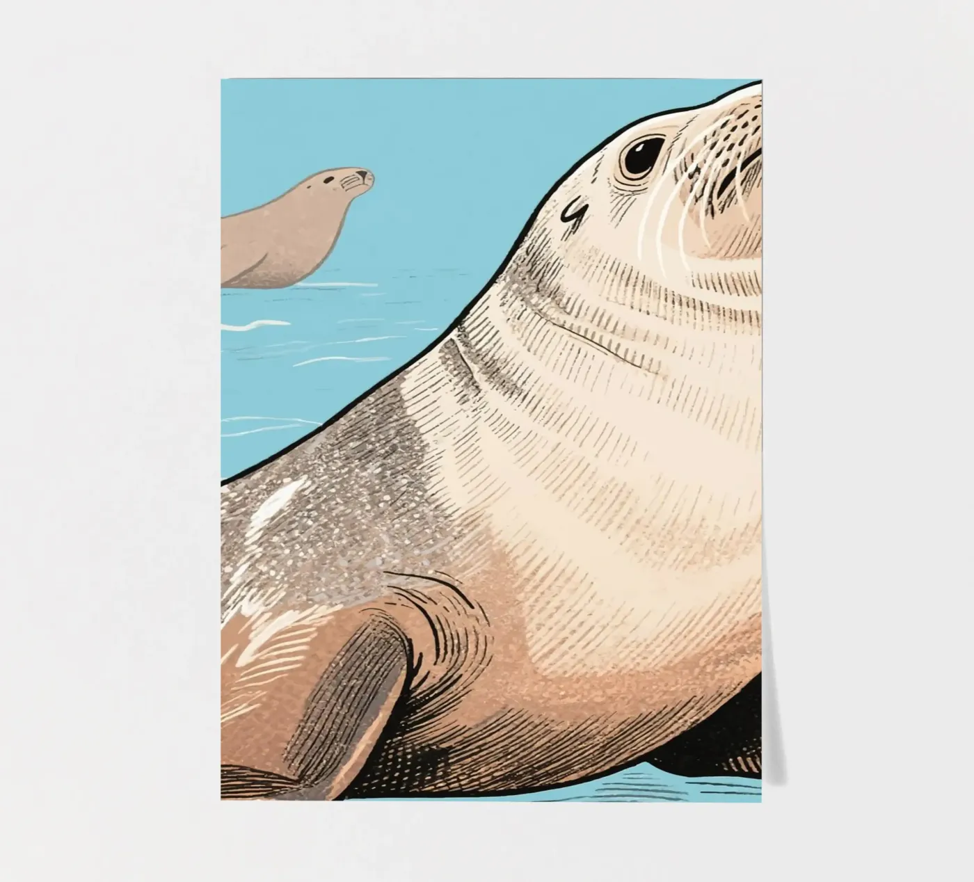 Sealion sticker sheet by knowledge
