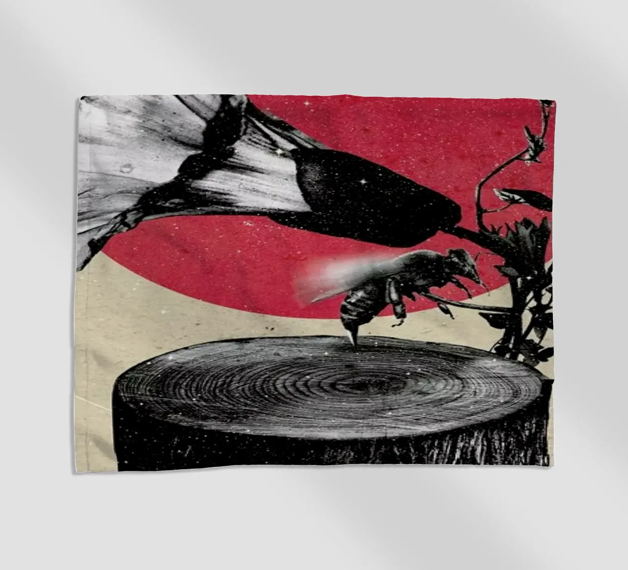 Gramophone telo mare da Ali Gulec