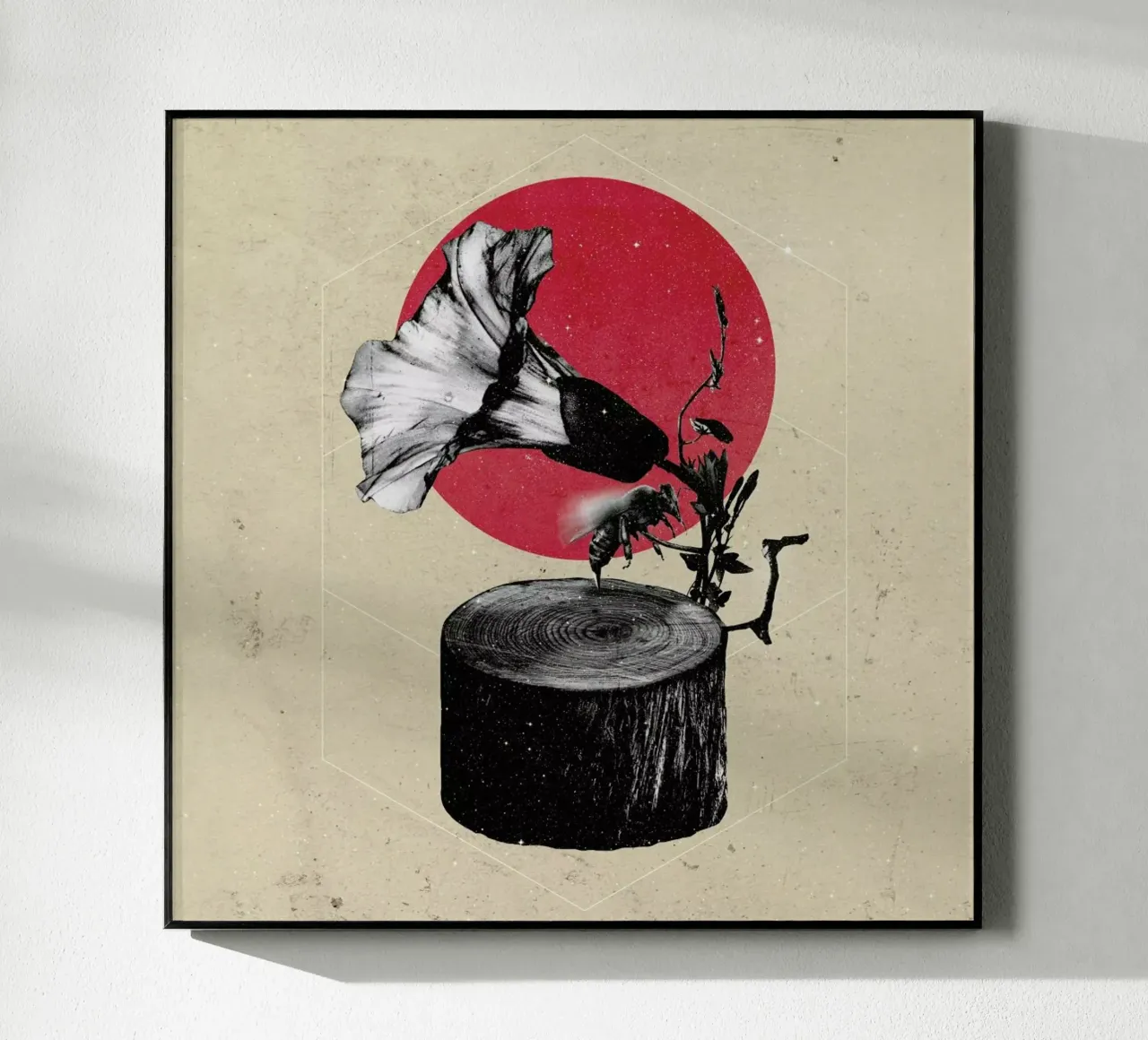 Gramophone plexiglass da Ali Gulec