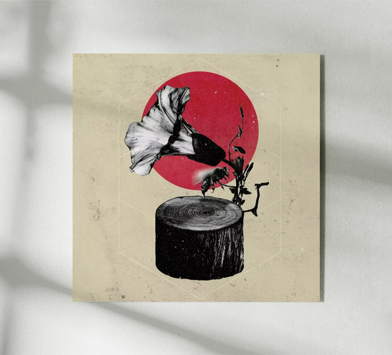 Gramophone acrylic glass by Ali Gulec