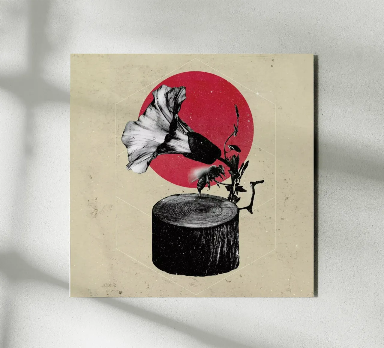 Gramophone alluminio dibond da Ali Gulec