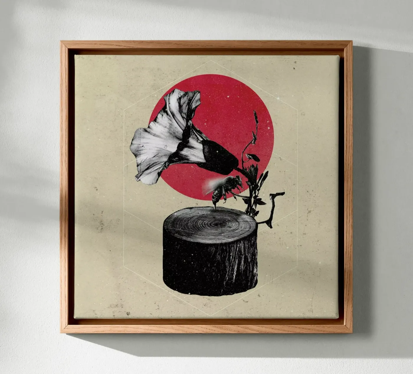 Gramophone tela da Ali Gulec