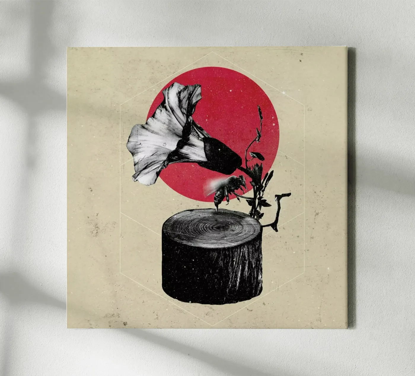 Gramophone tela da Ali Gulec