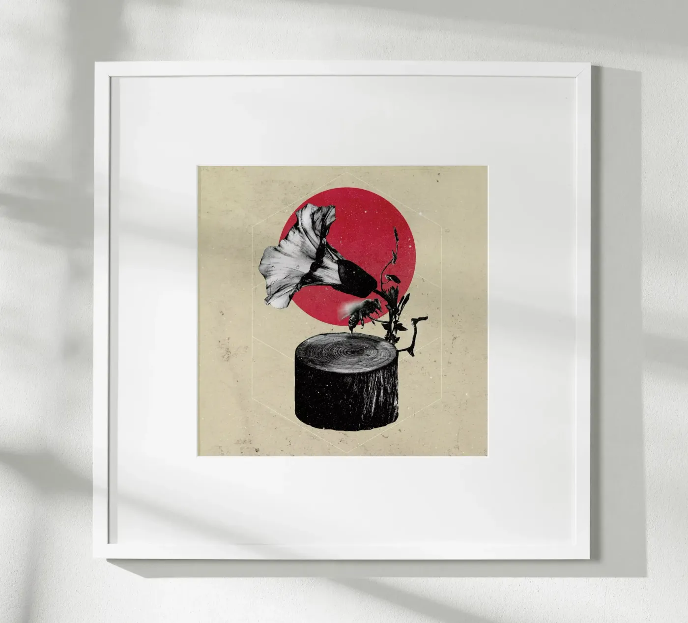 Gramophone poster da Ali Gulec