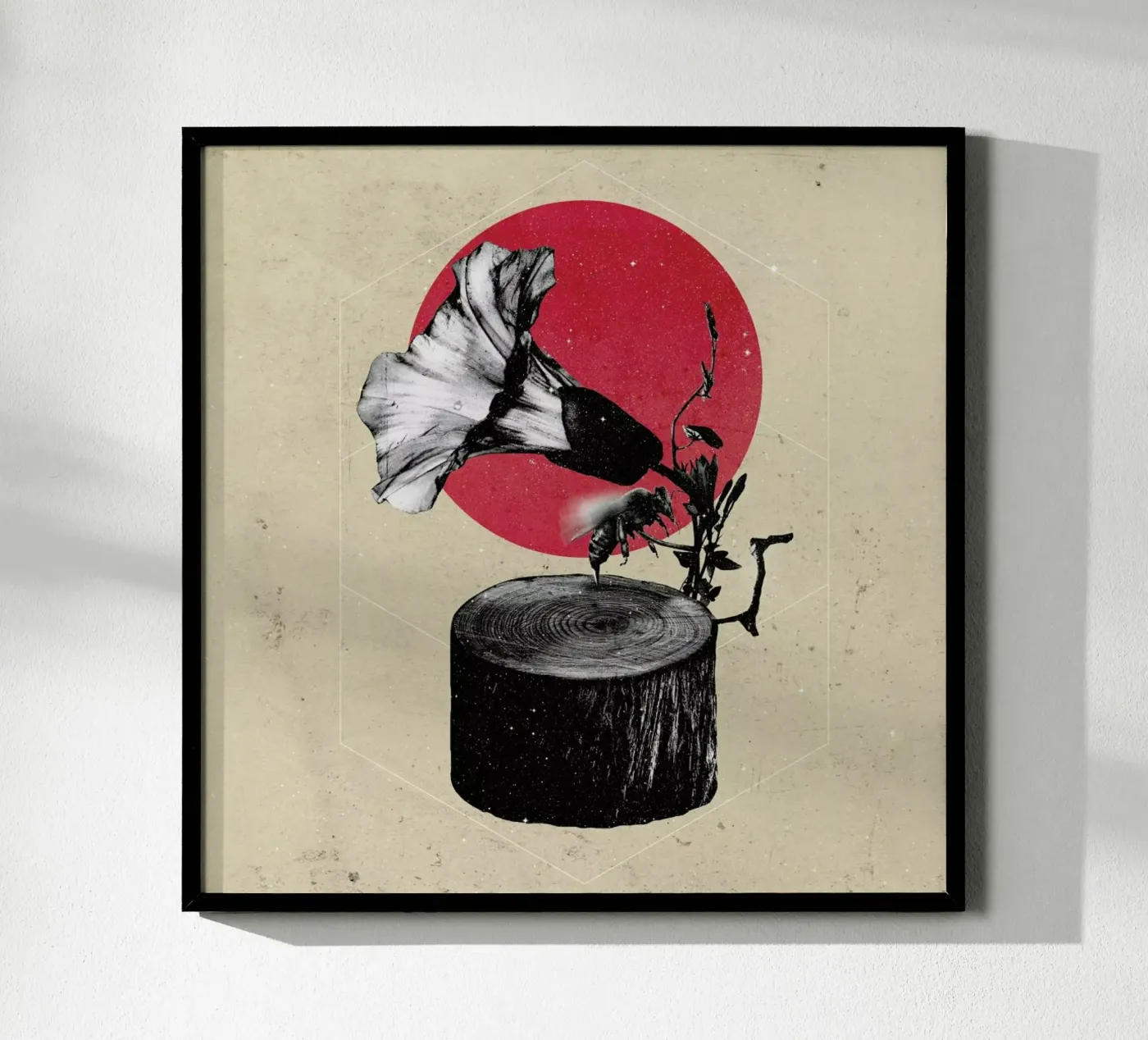 Gramophone poster da Ali Gulec