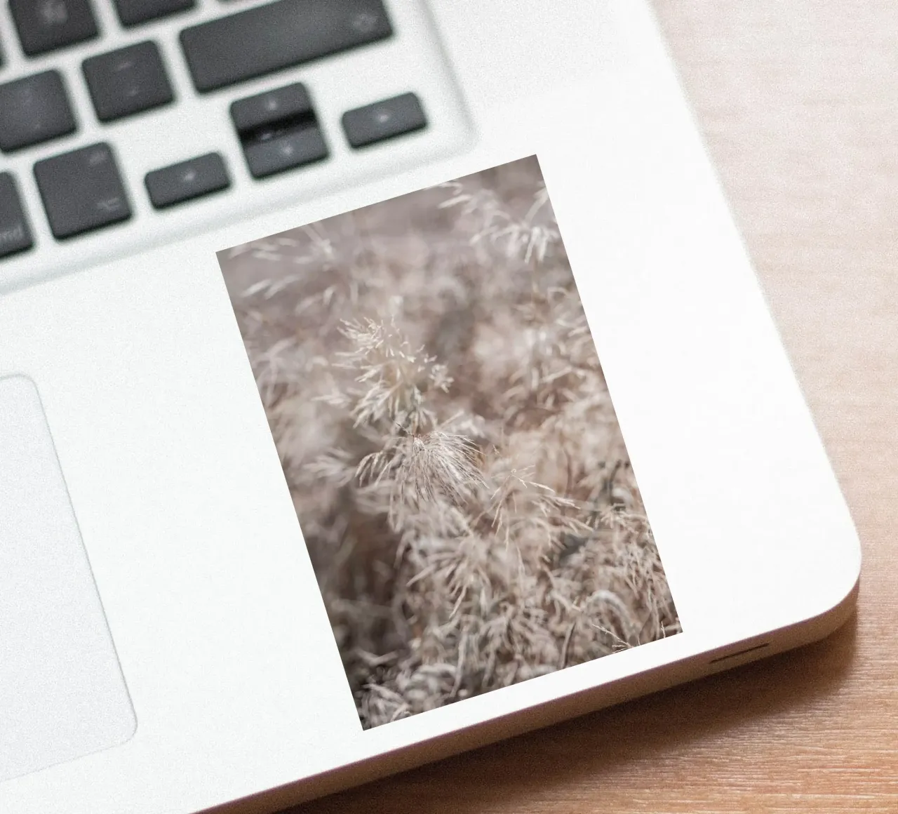 Zarte Wild Gräser Fotografie Sticker von Carinaprint