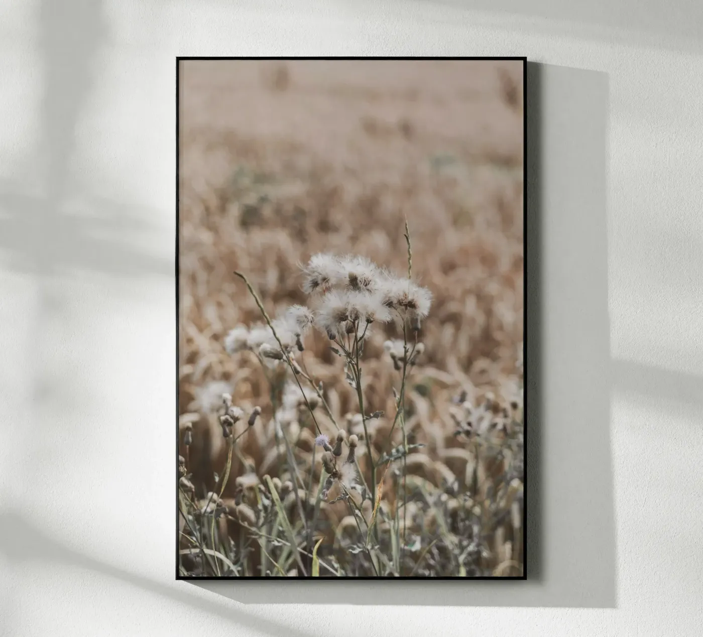 Summer grasses Bohostyle plexiglass da Carinaprint