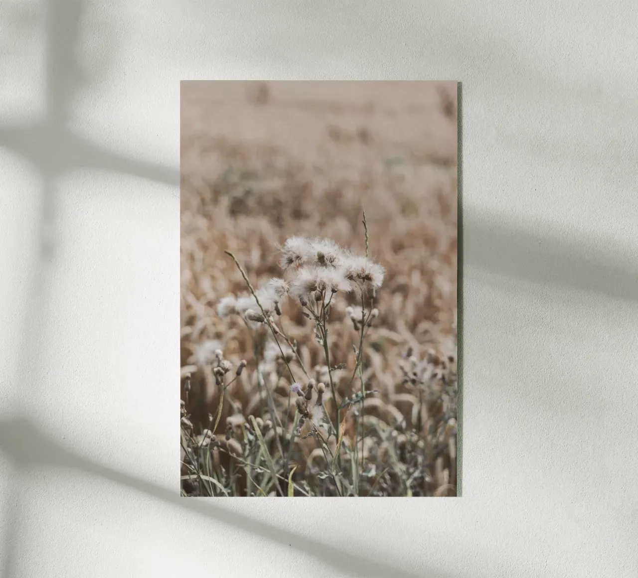 Erbe estive Bohostyle plexiglass da Carinaprint