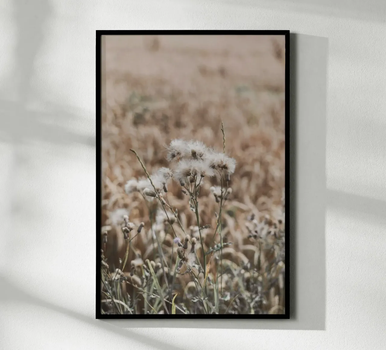 Hierbas de verano Bohostyle poster de Carinaprint