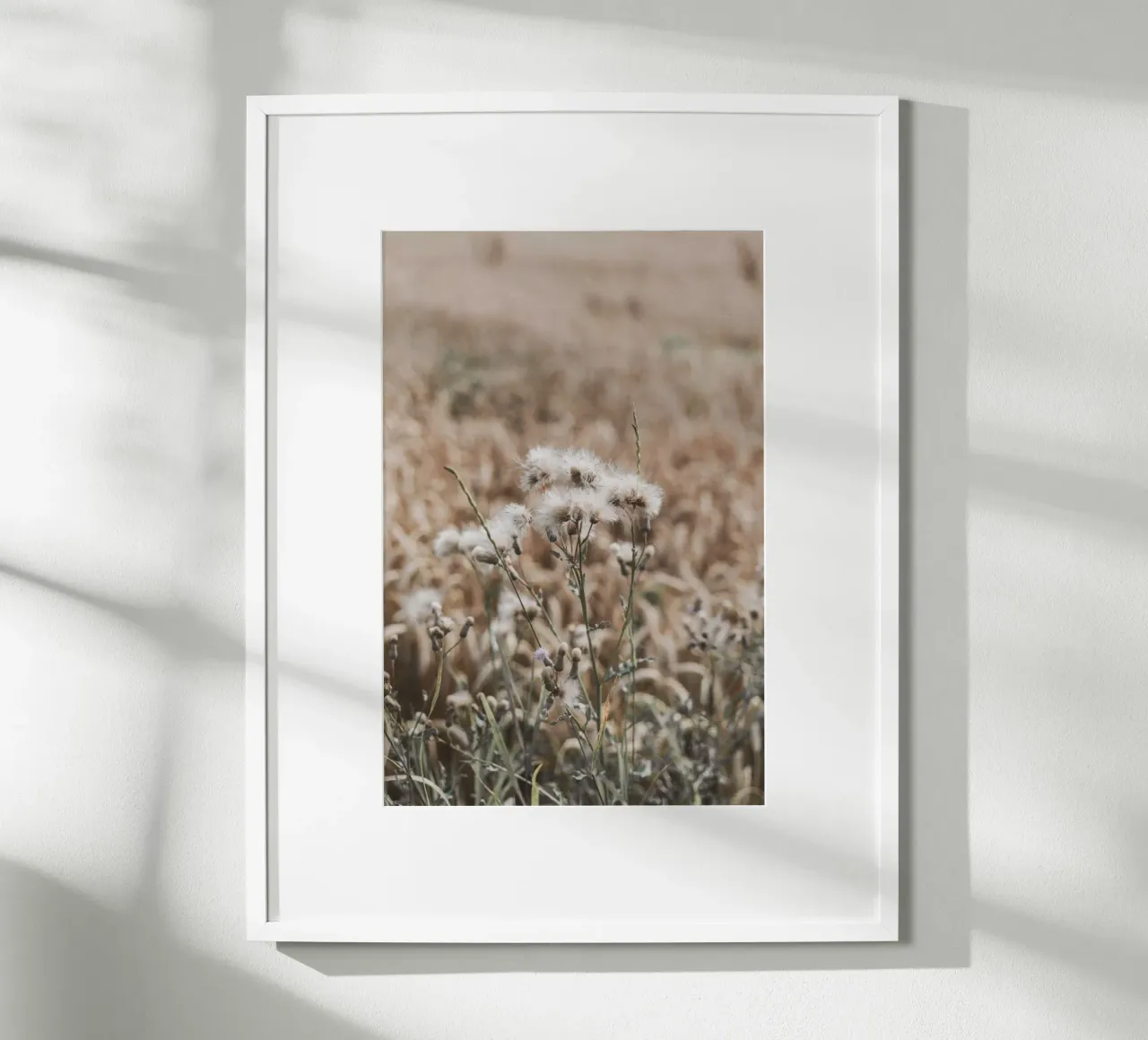 Hierbas de verano Bohostyle poster de Carinaprint
