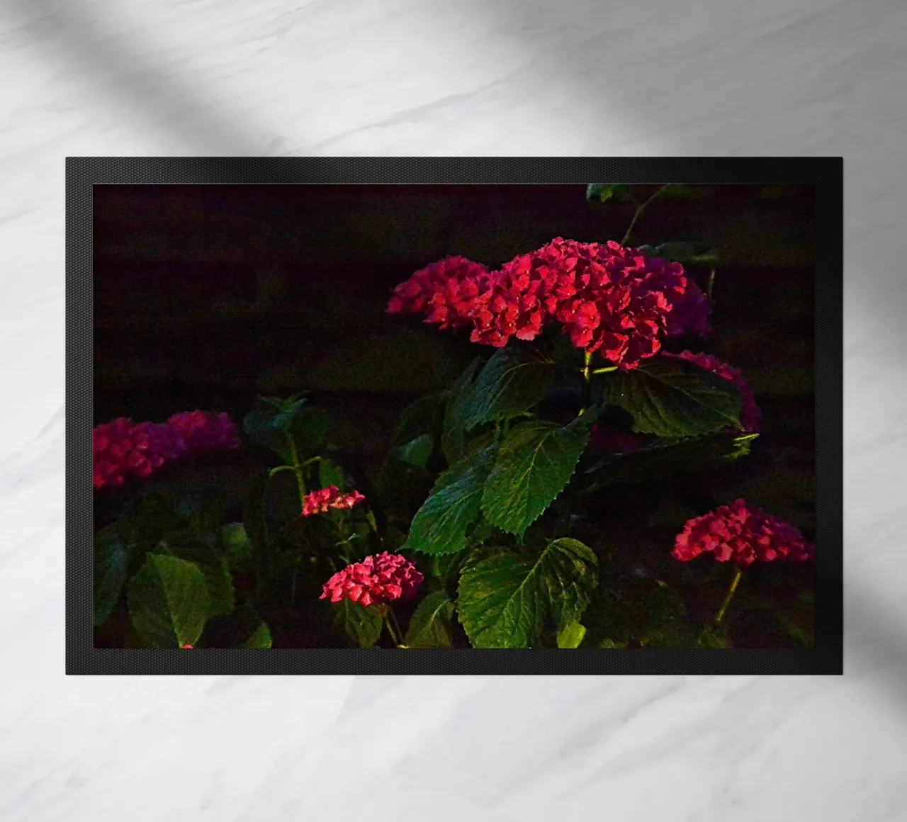 FAA359 zerbino da Thierry vobmann photography