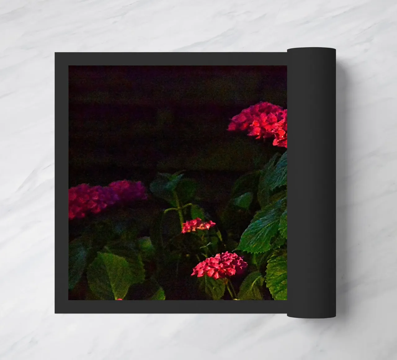 FAA359 zerbino da Thierry vobmann photography