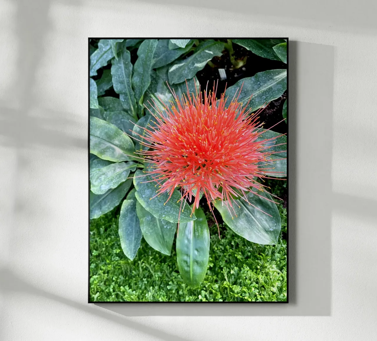 Complementare plexiglass da Petra Fotografica