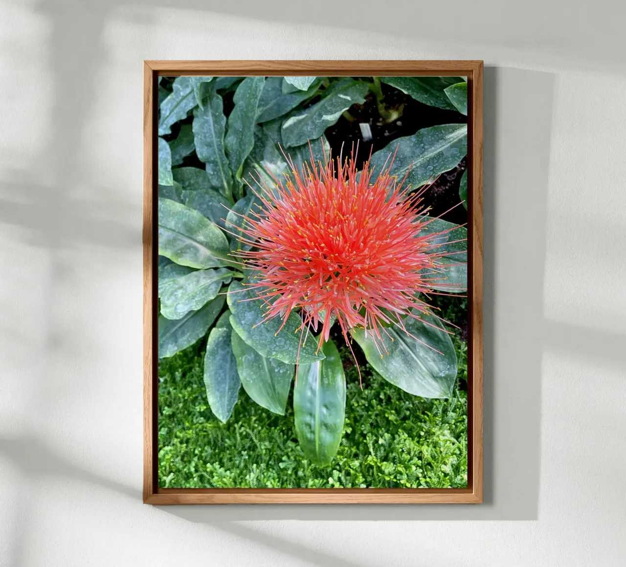 Complementare alluminio dibond da Petra Fotografica