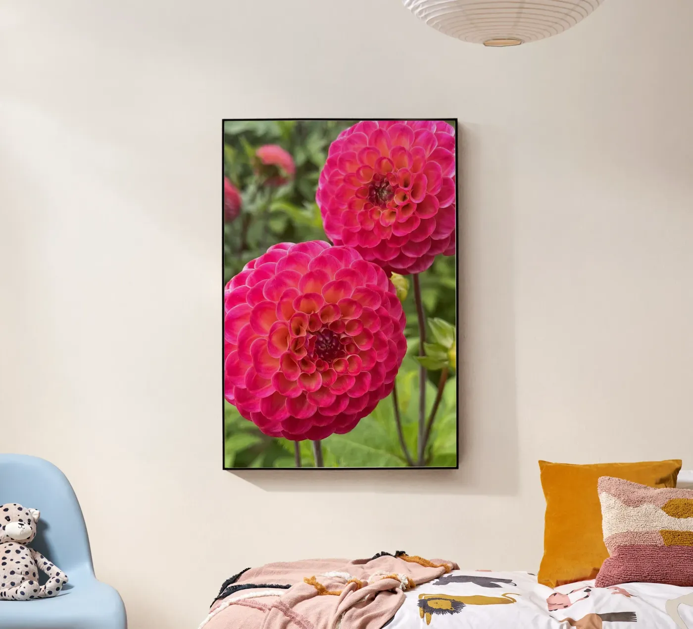 Dahlias Acryl-Glas von Petra Fotografica