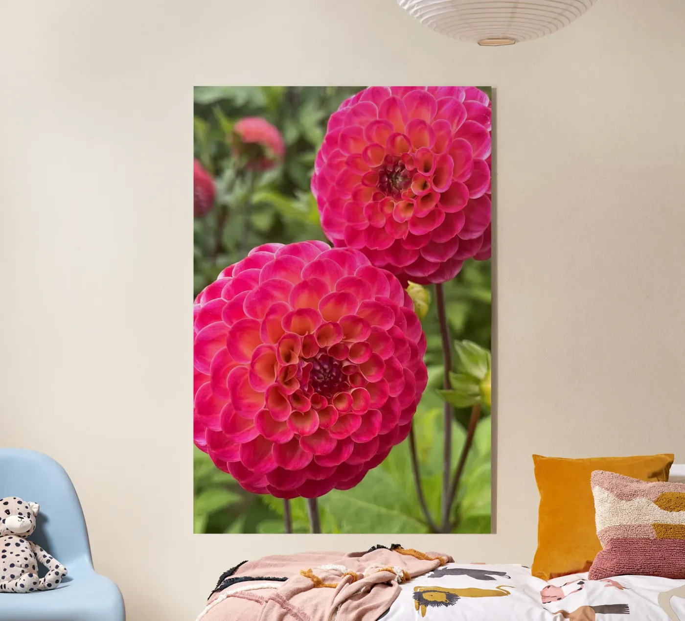 Dahlias Acryl-Glas von Petra Fotografica