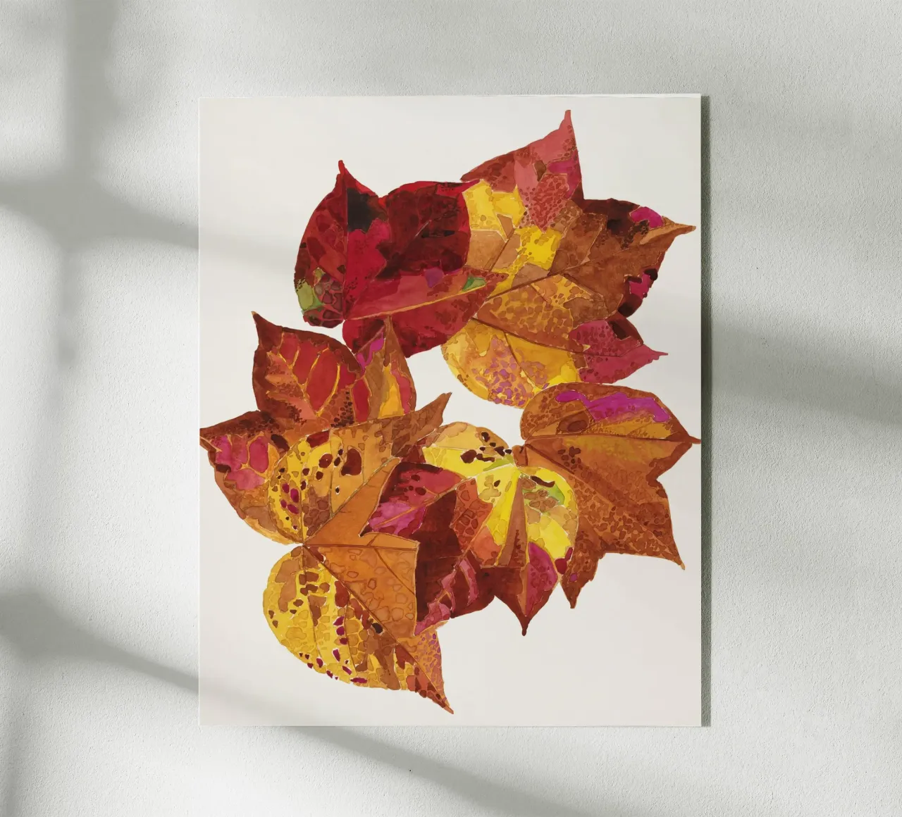 Carpente plexiglass da vintageshop