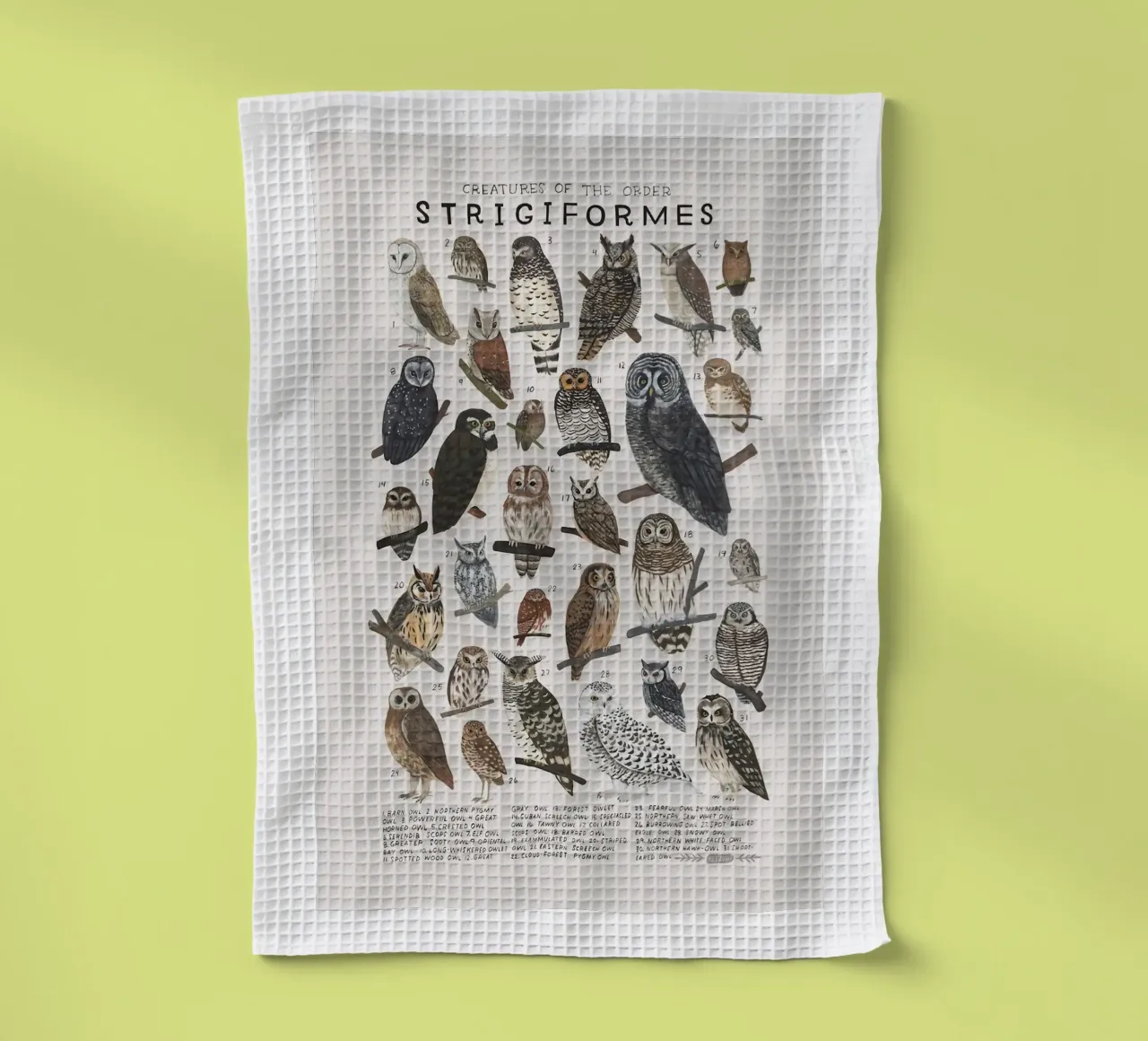 Strigiformi canovaccio da cucina da Zoe Watson