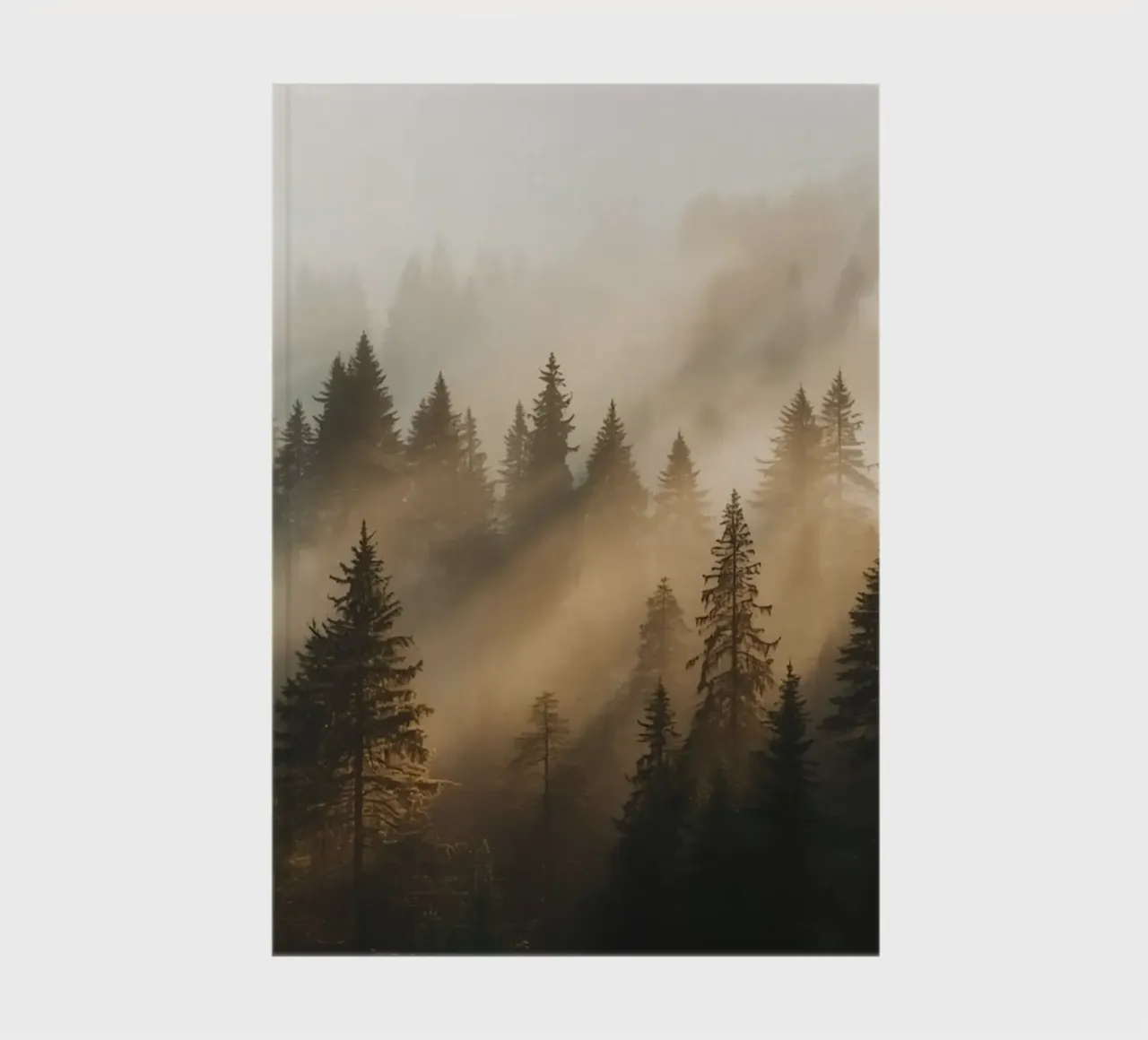 Coniferous Forest in Fog with Sunbeams notebook by DesignDoodle