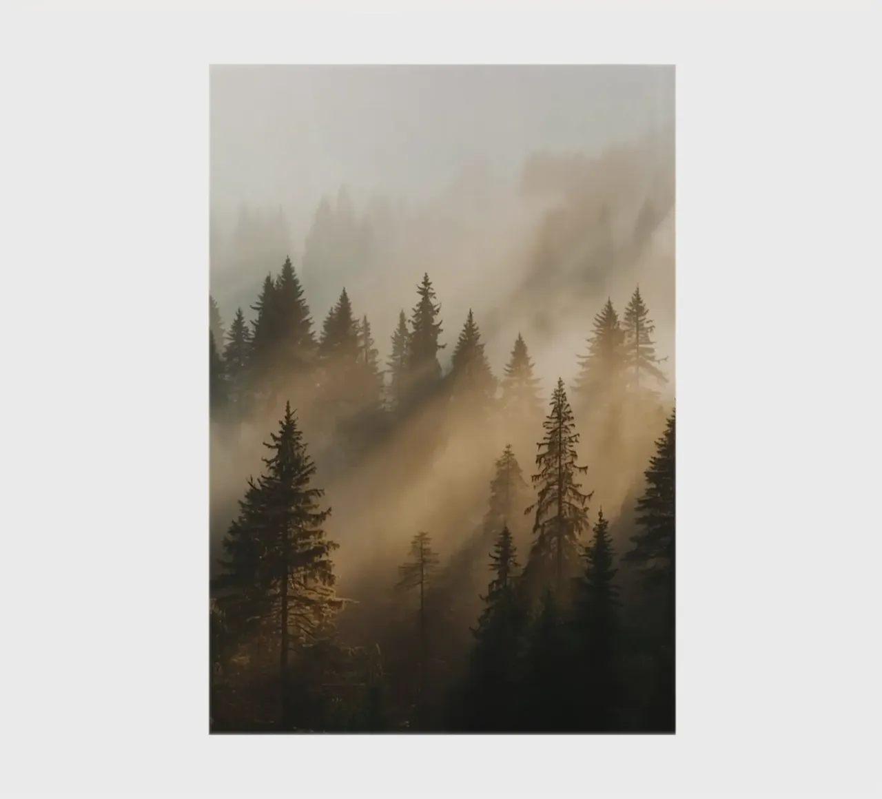 Coniferous Forest in Fog with Sunbeams notebook by DesignDoodle