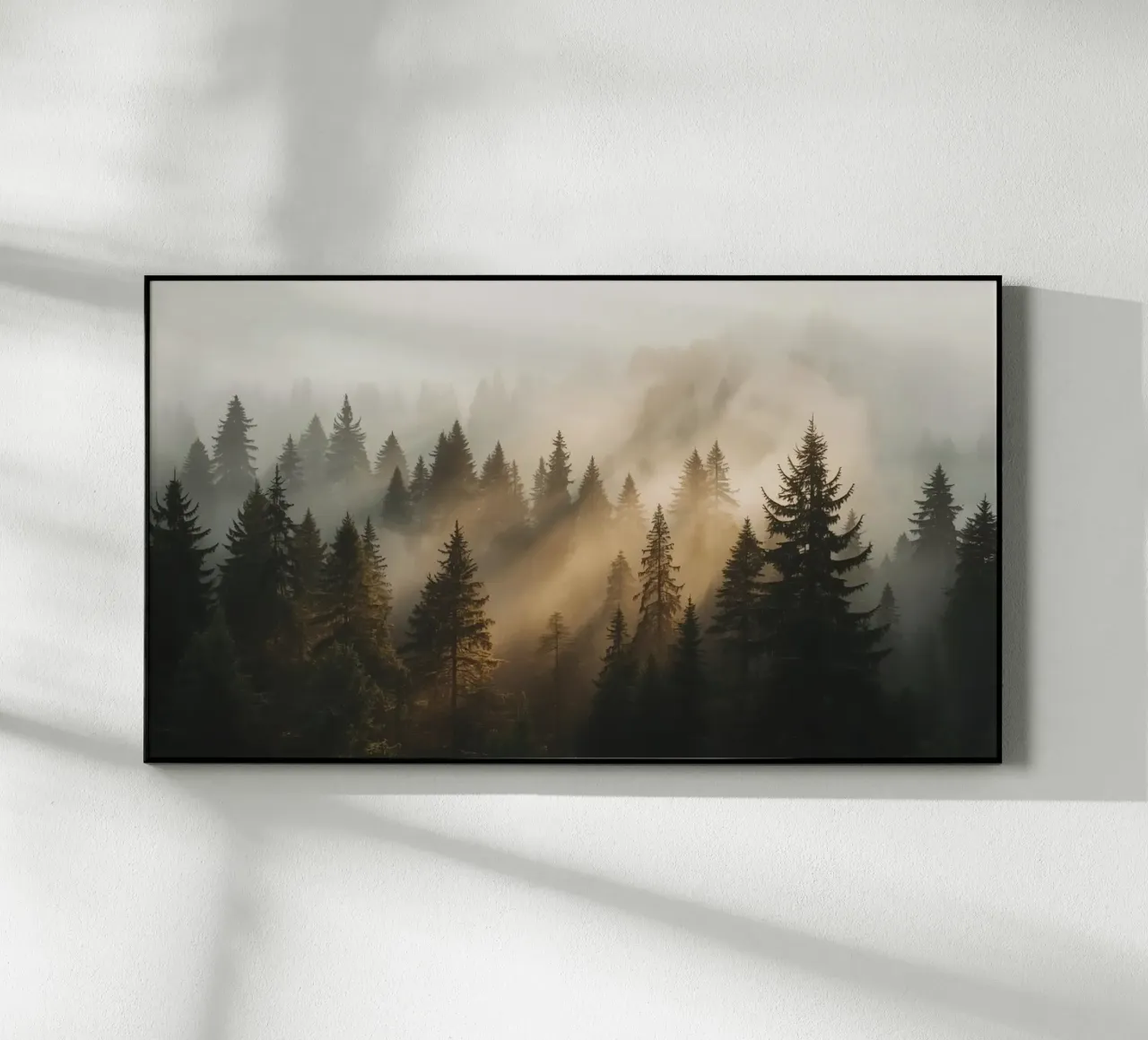 Foresta di conifere nella nebbia con raggi di sole plexiglass da DesignDoodle