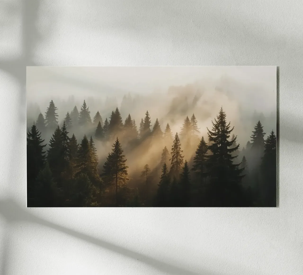 Foresta di conifere nella nebbia con raggi di sole plexiglass da DesignDoodle