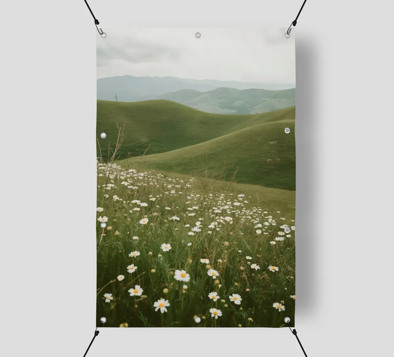 Campo di margherite con colline ondulate telo in pvc da DesignDoodle