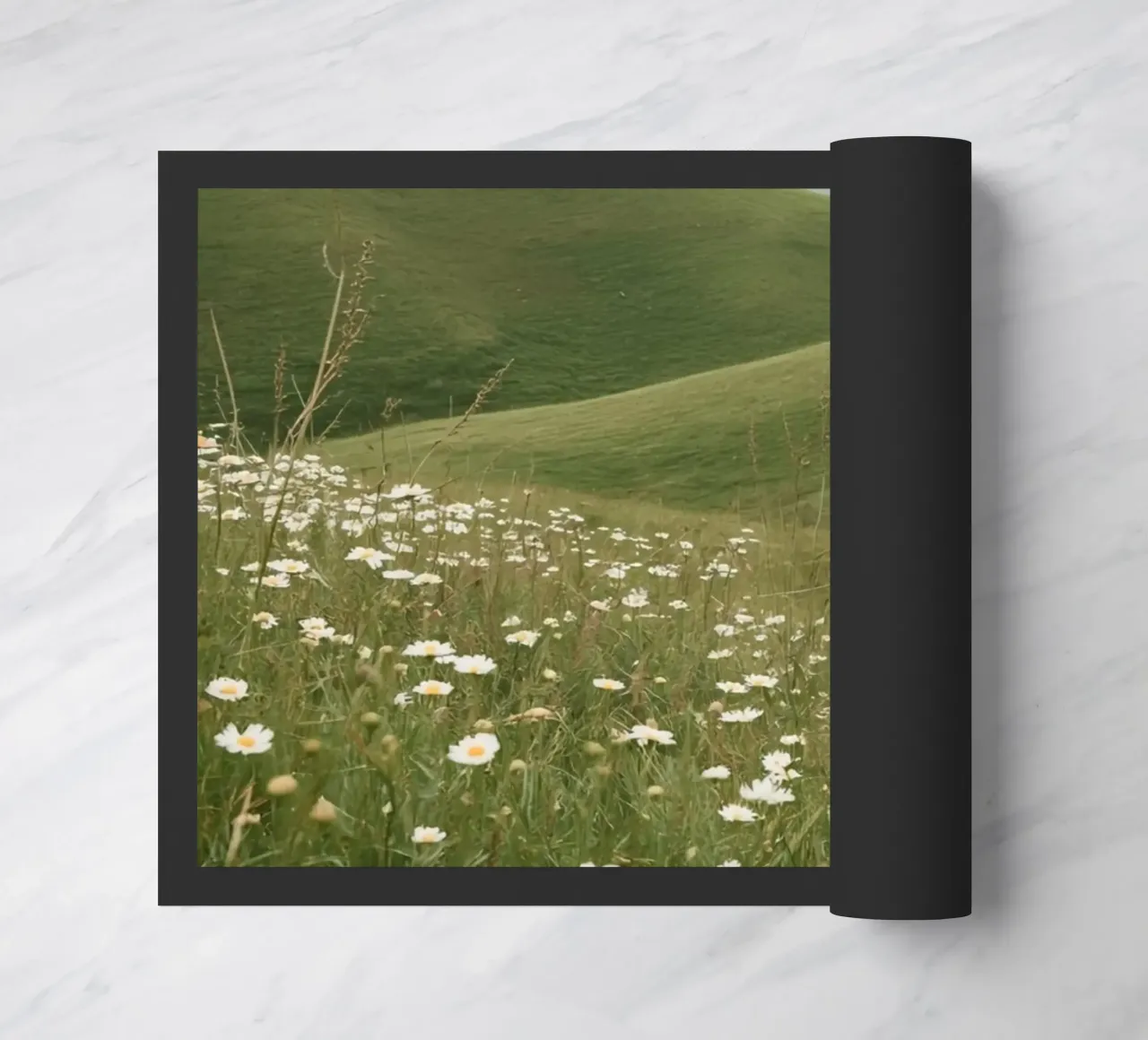 Campo di margherite con colline ondulate zerbino da DesignDoodle