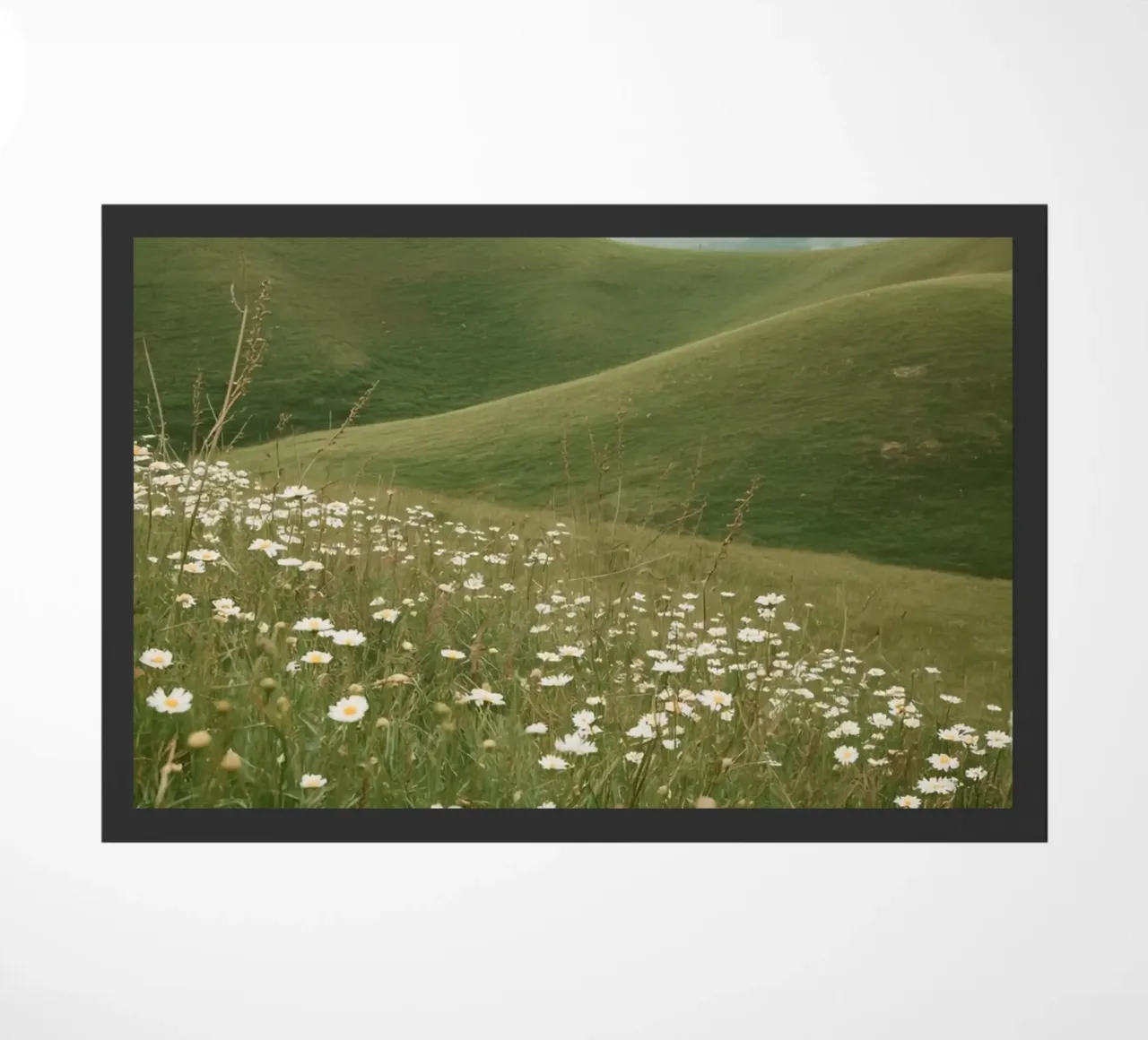 Campo di margherite con colline ondulate zerbino da DesignDoodle