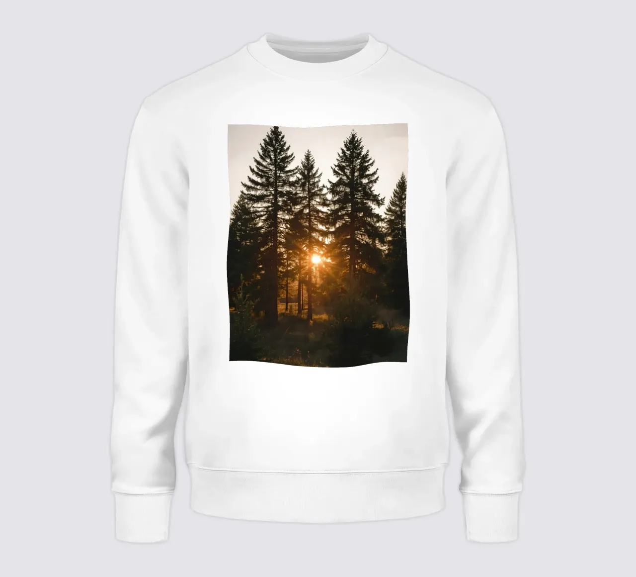 Foresta con Sunburst felpa da DesignDoodle