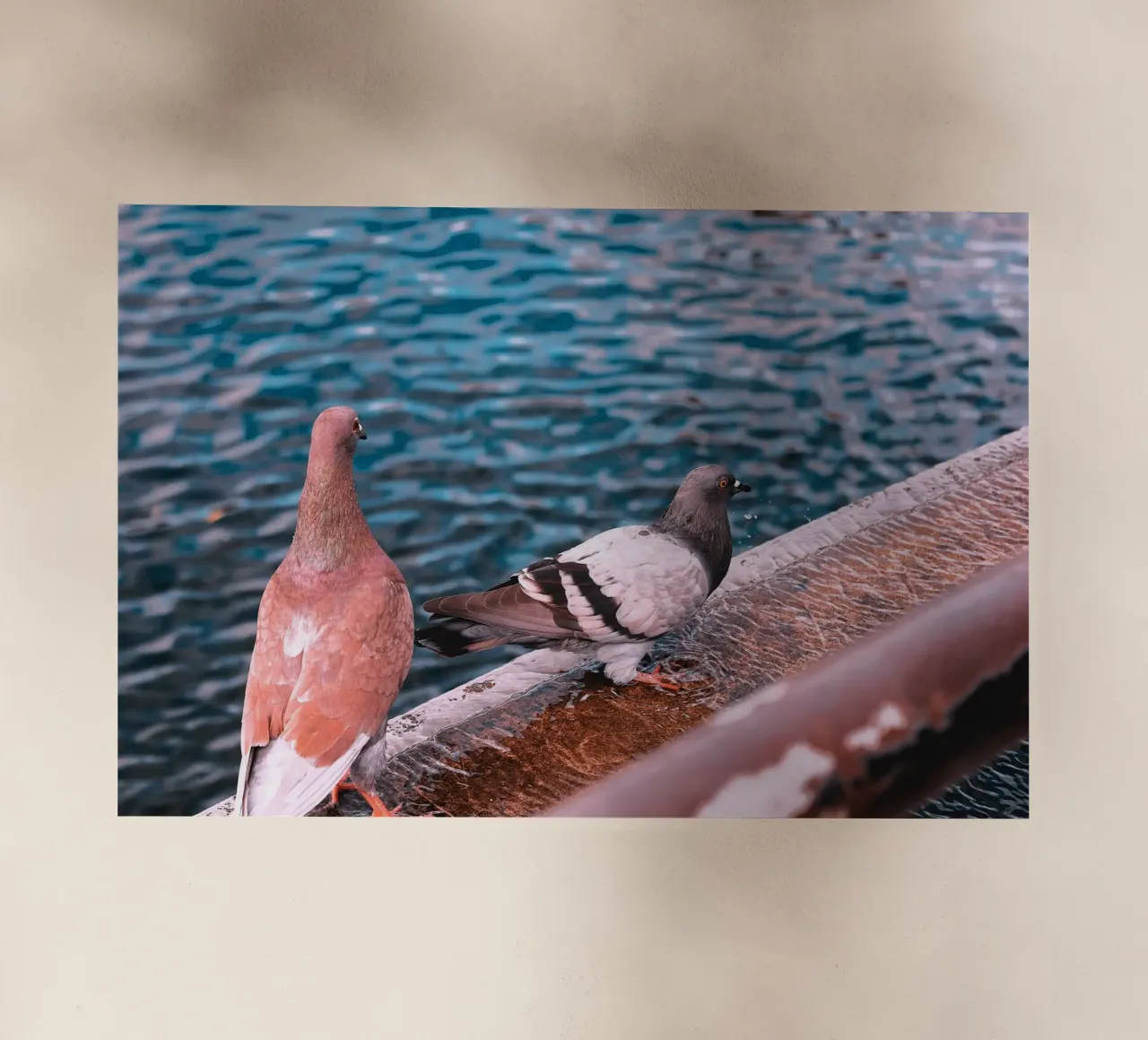 Messaggero di pace pellicola backlit da Nature's Palette