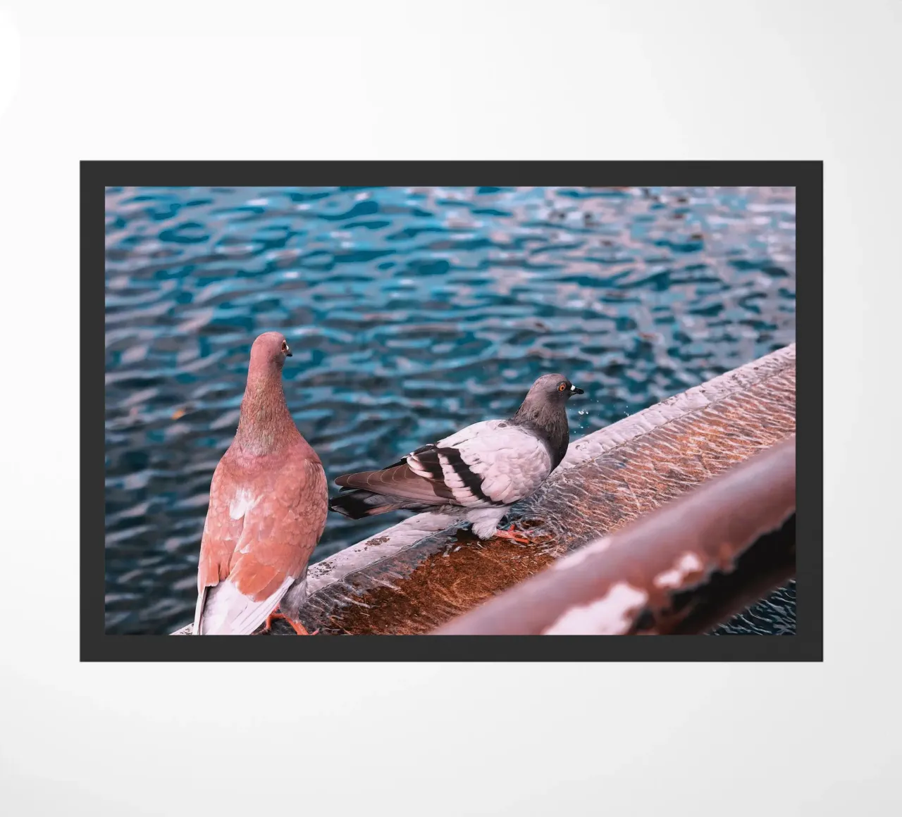 Messaggero di pace zerbino da Nature's Palette