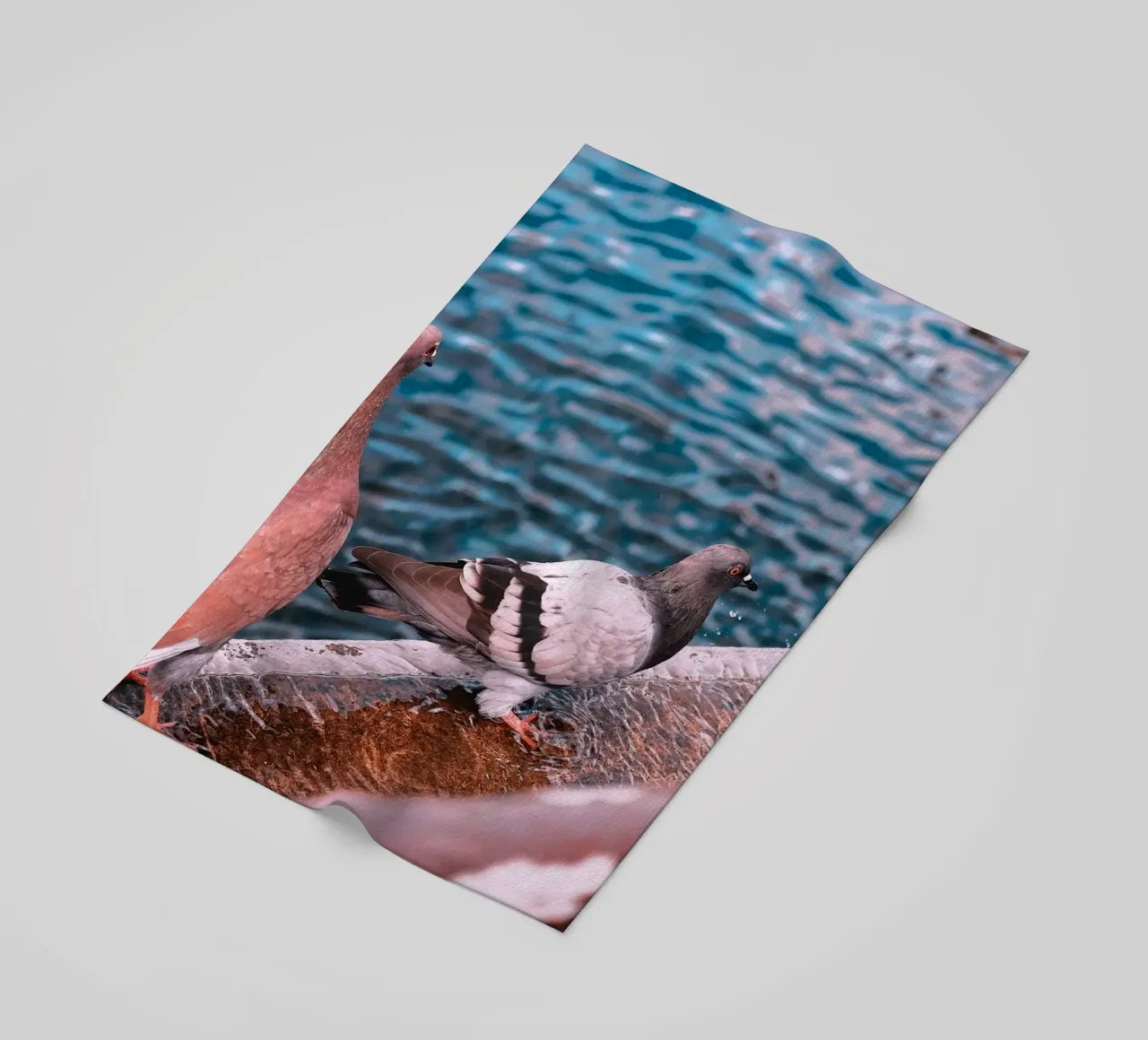 Messaggero di pace telo mare da Nature's Palette