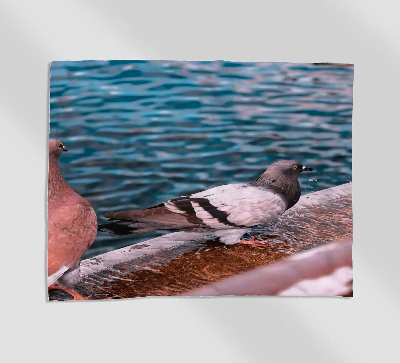 Messaggero di pace telo mare da Nature's Palette