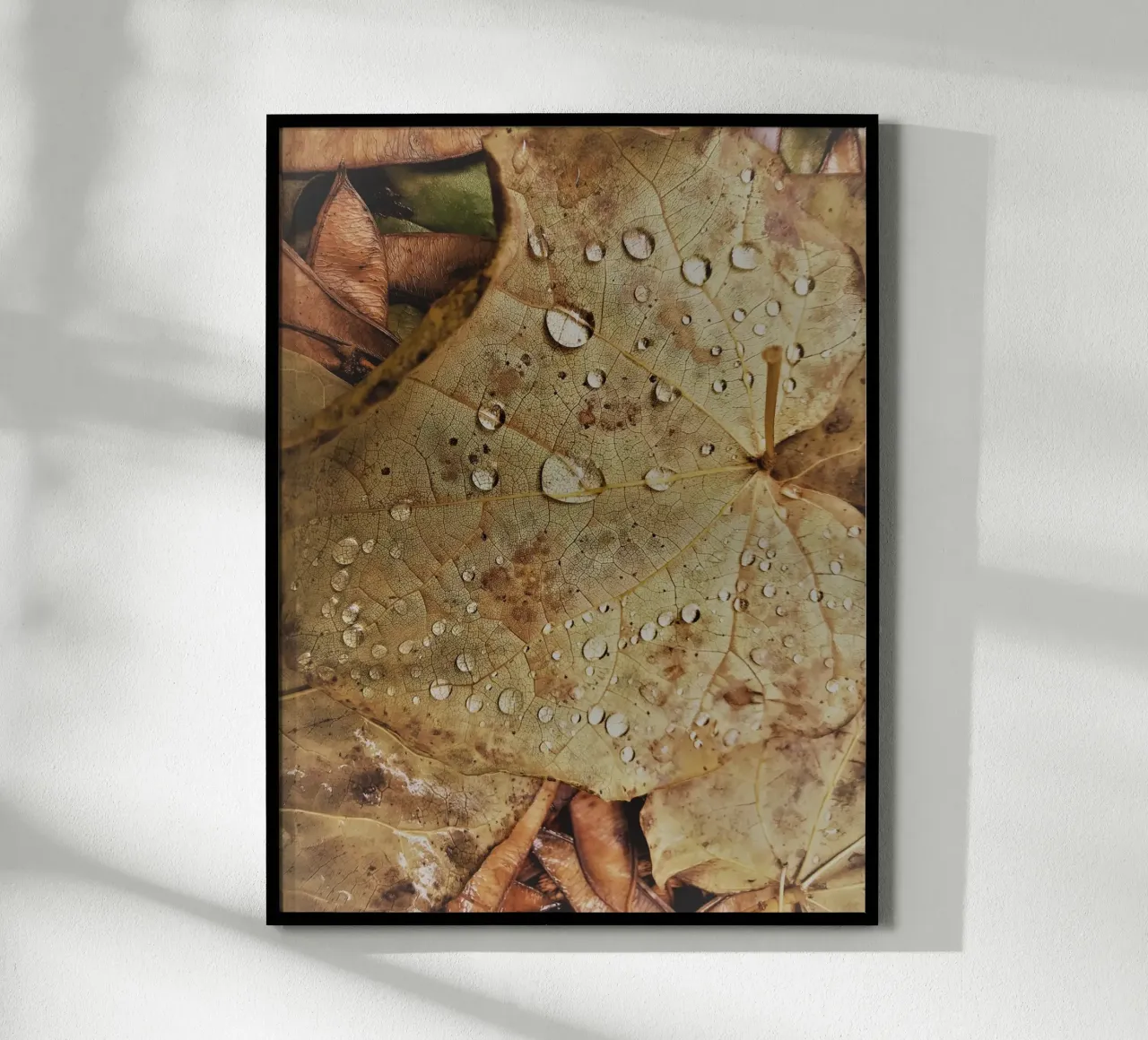 Leaf with water droplets carta hahnemühle da vintageshop