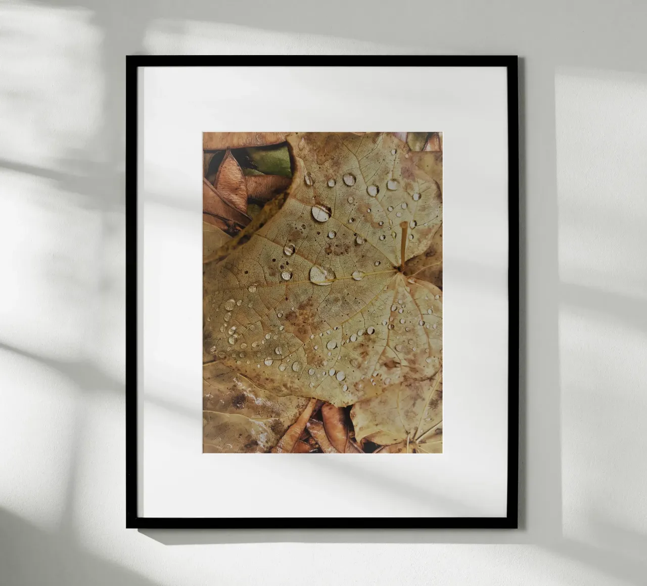 Leaf with water droplets carta hahnemühle da vintageshop