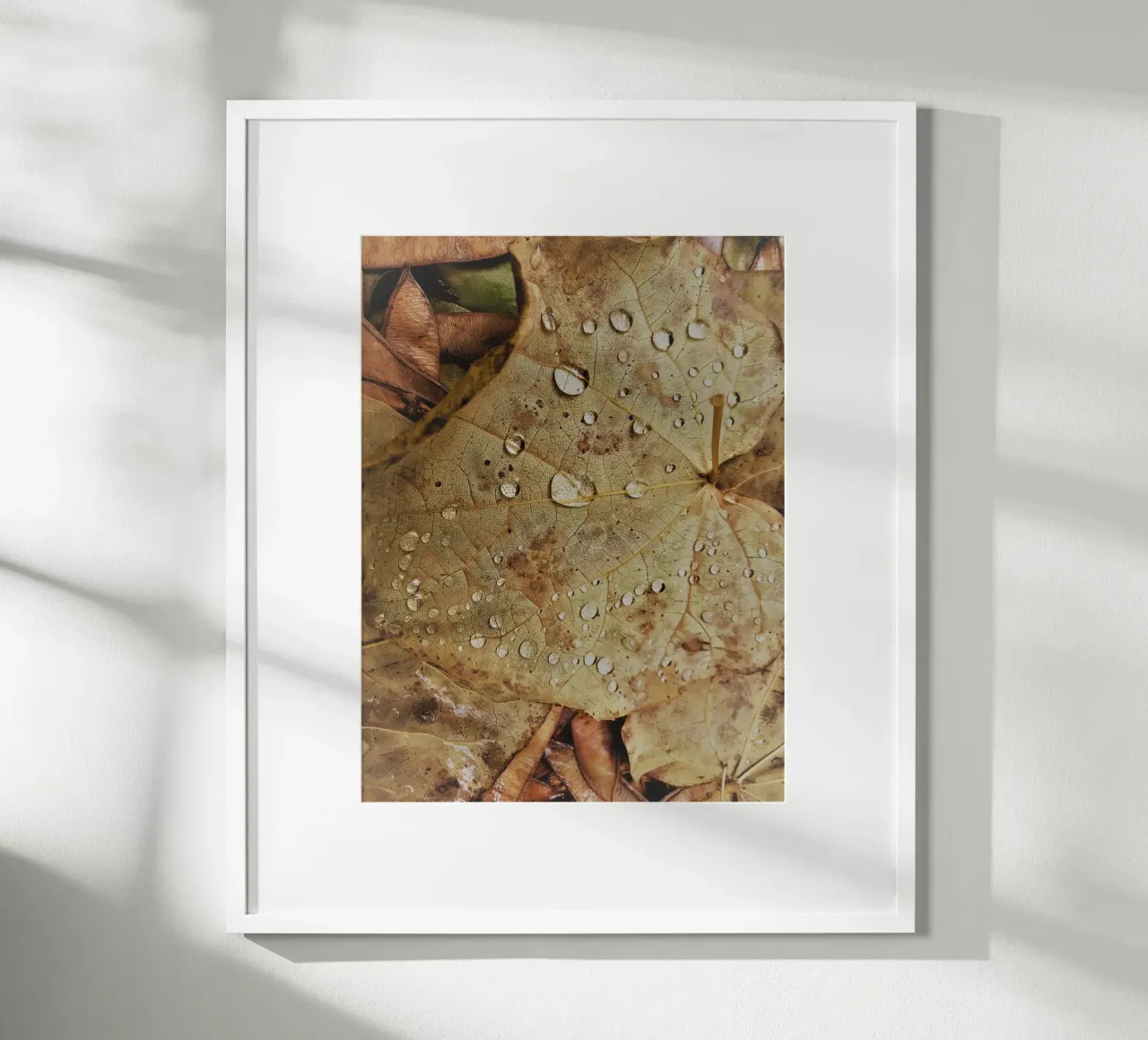Leaf with water droplets carta hahnemühle da vintageshop