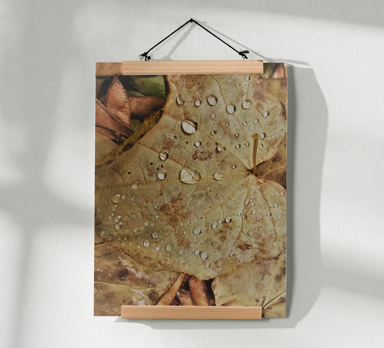 Leaf with water droplets carta hahnemühle da vintageshop