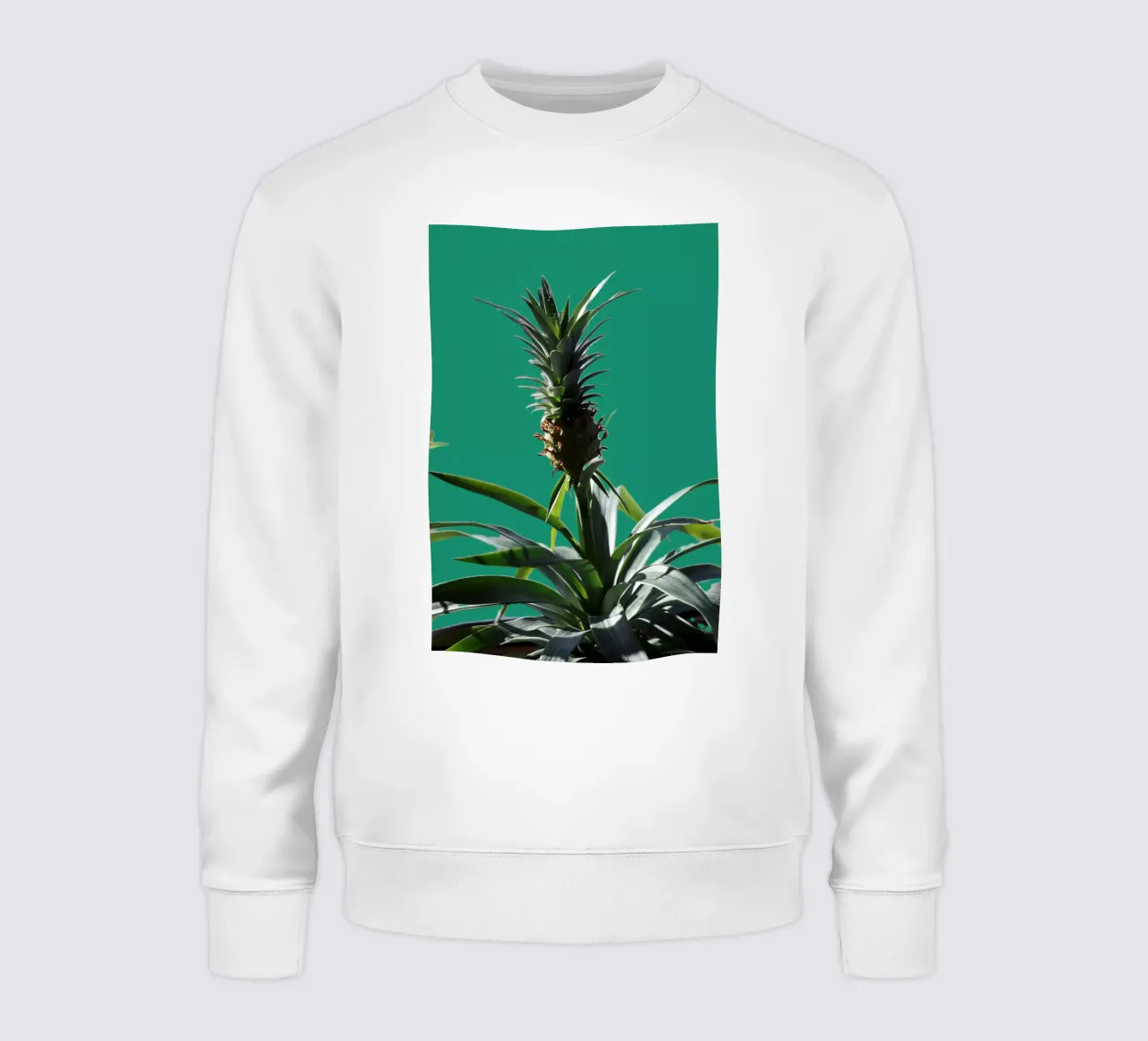 L'ananas felpa da Alexandra Joseph Fotomomente