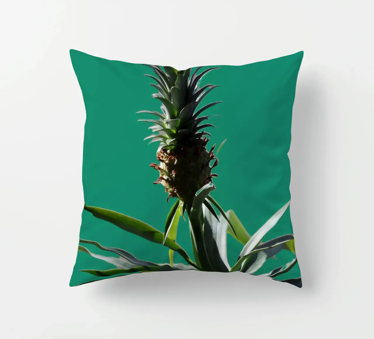 L'ananas cuscino da Alexandra Joseph Fotomomente