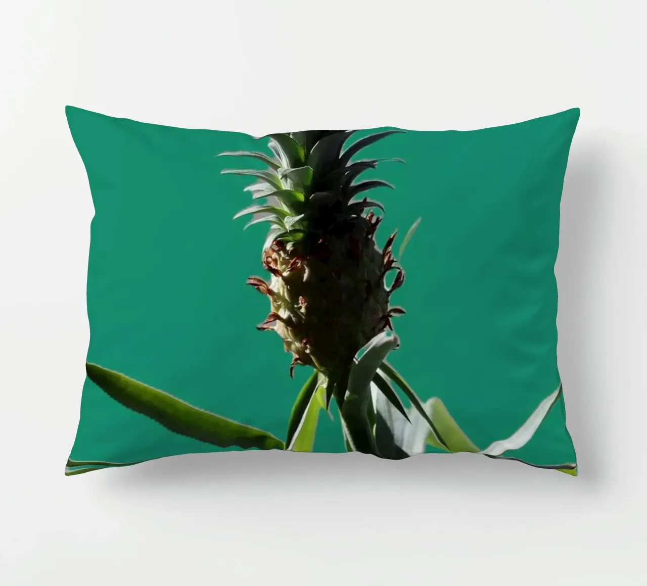 L'ananas cuscino da Alexandra Joseph Fotomomente