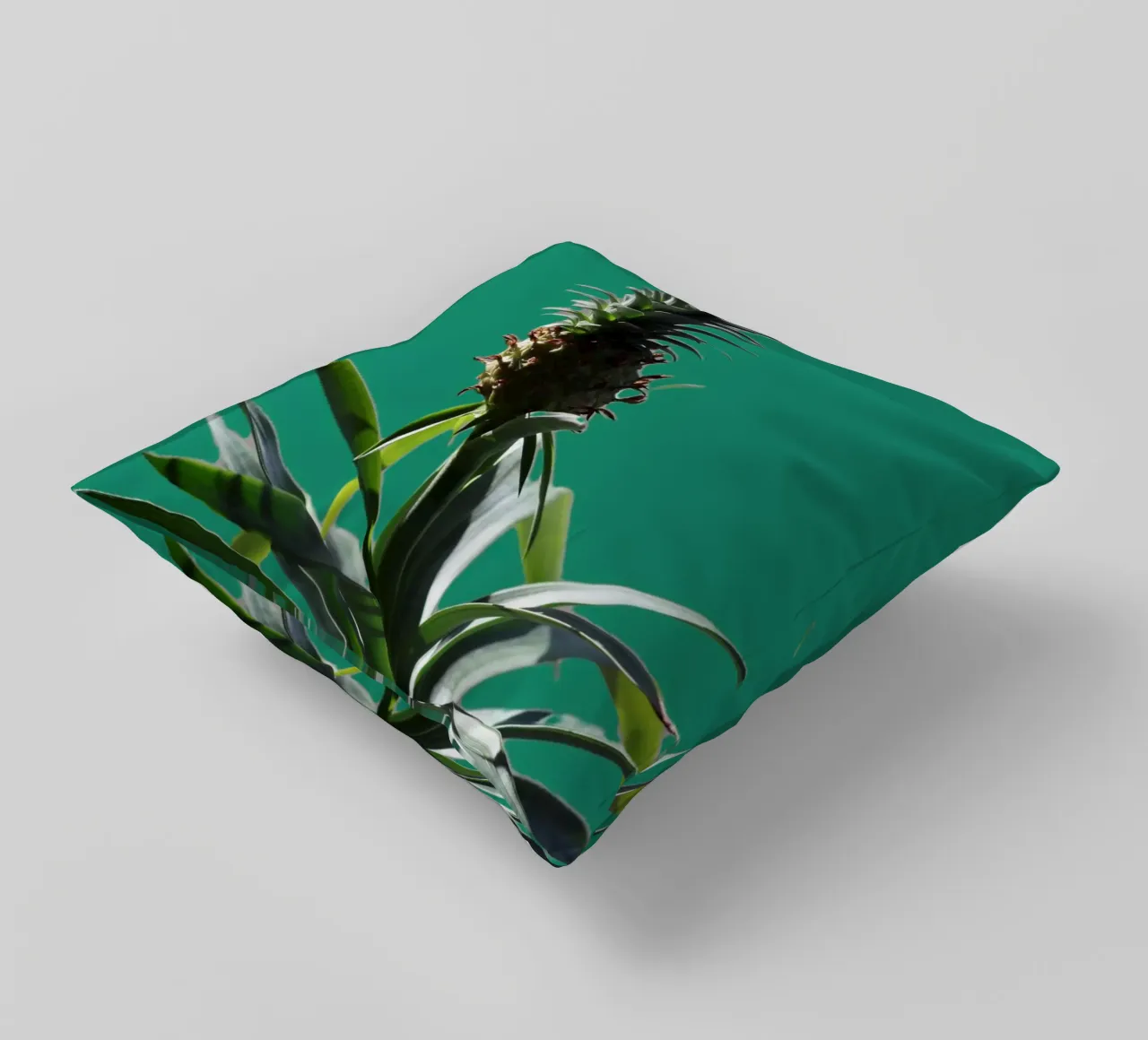 L'ananas cuscino da Alexandra Joseph Fotomomente