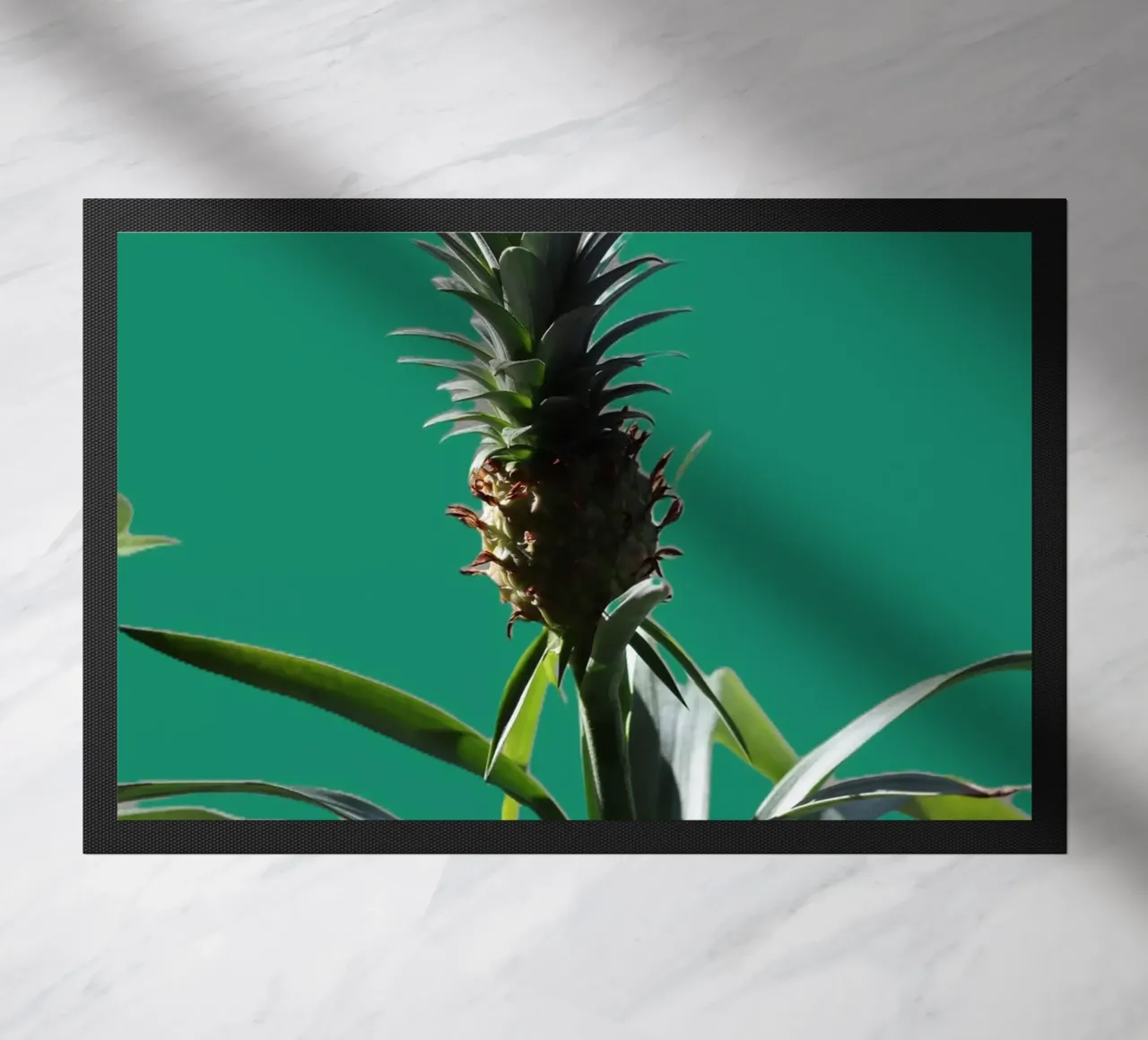 L'ananas zerbino da Alexandra Joseph Fotomomente