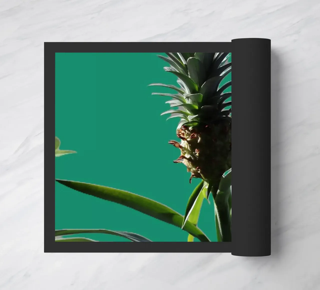 L'ananas zerbino da Alexandra Joseph Fotomomente